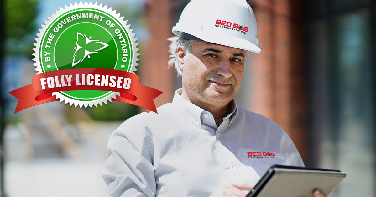 licensed bed bug company
