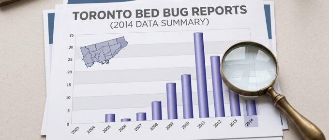Bed Bugs Toronto