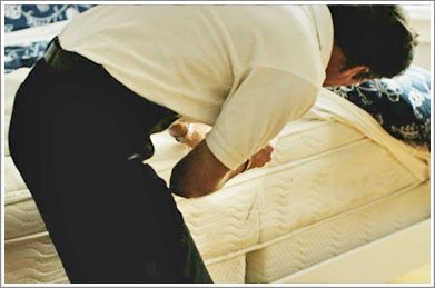 bed bug inspection service