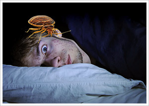 depression from bed bugs