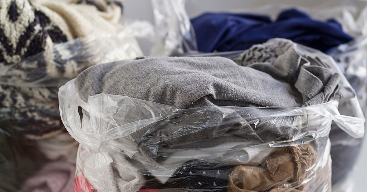 Preparing the Home for Bed Bug Treatment