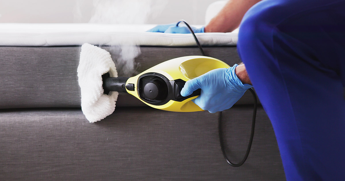 Bed Bug Steam Treatment