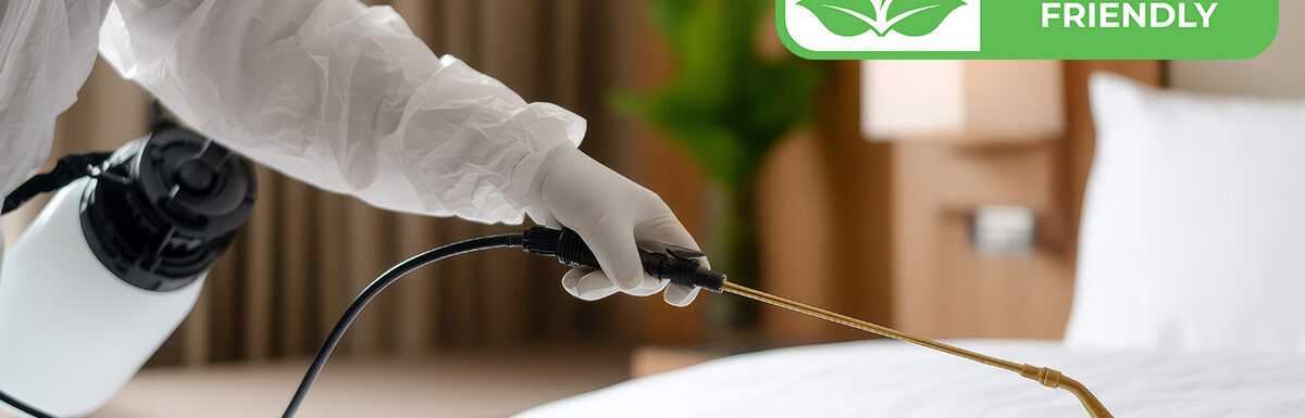 eco friendly bedbug control