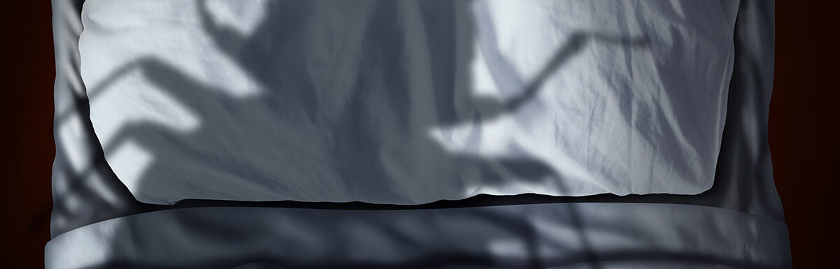 Bed bug shadow