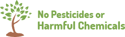 eco friendly pest extermination