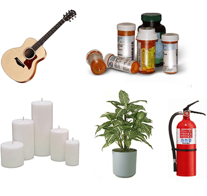 Bed Bug Heat Treatment Toronto - 100% Elimination One Visit