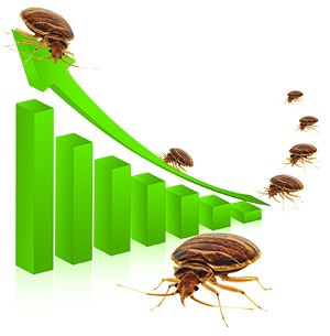 Have a Bed Bug Infestation? Here are your rights and