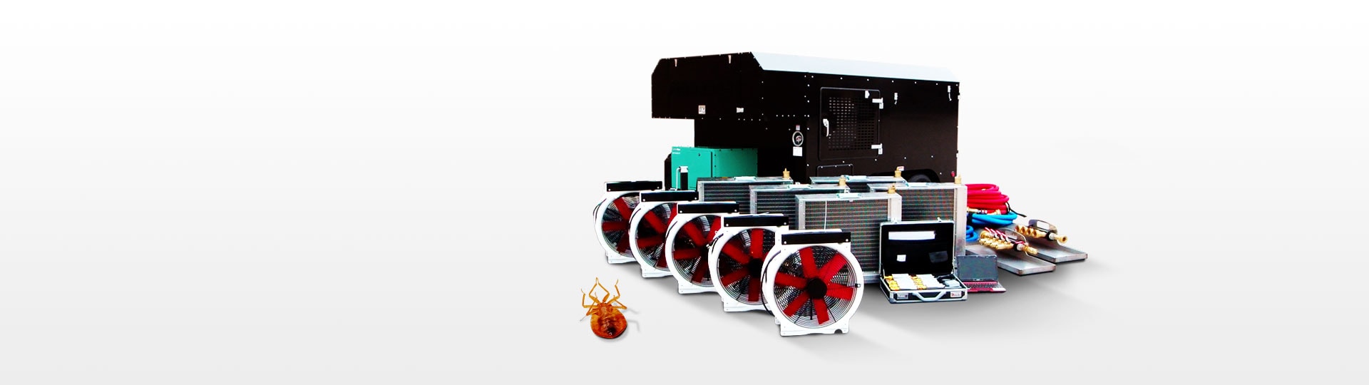 how to treat bed bugs