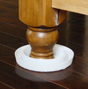 bed-bugs-Leg-Traps