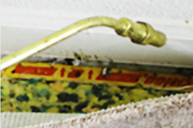 Insecticide Bed Bug Treatment