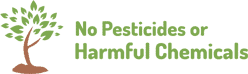 eco friendly pest extermination