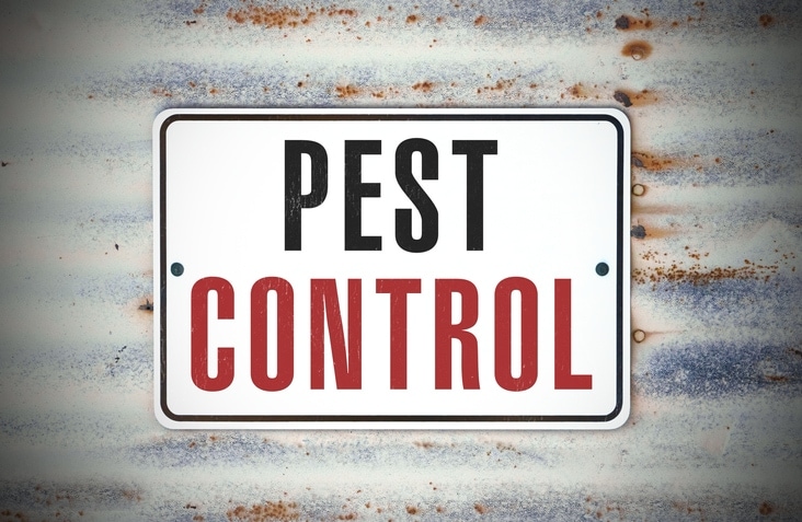 pest control