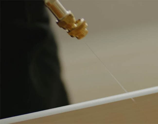 Experienced Bed Bug Technicians