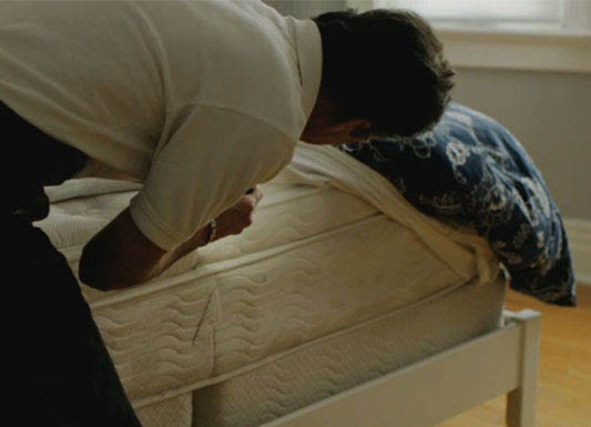 Professional Bed Bug Exterminators Toronto