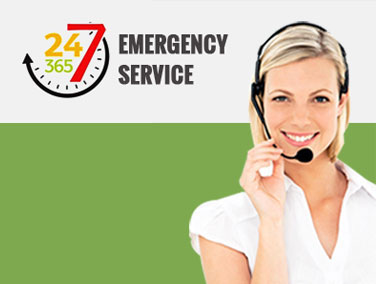 24-7 pest control services barrie