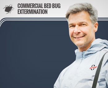 commercial bed bug extermination barrie