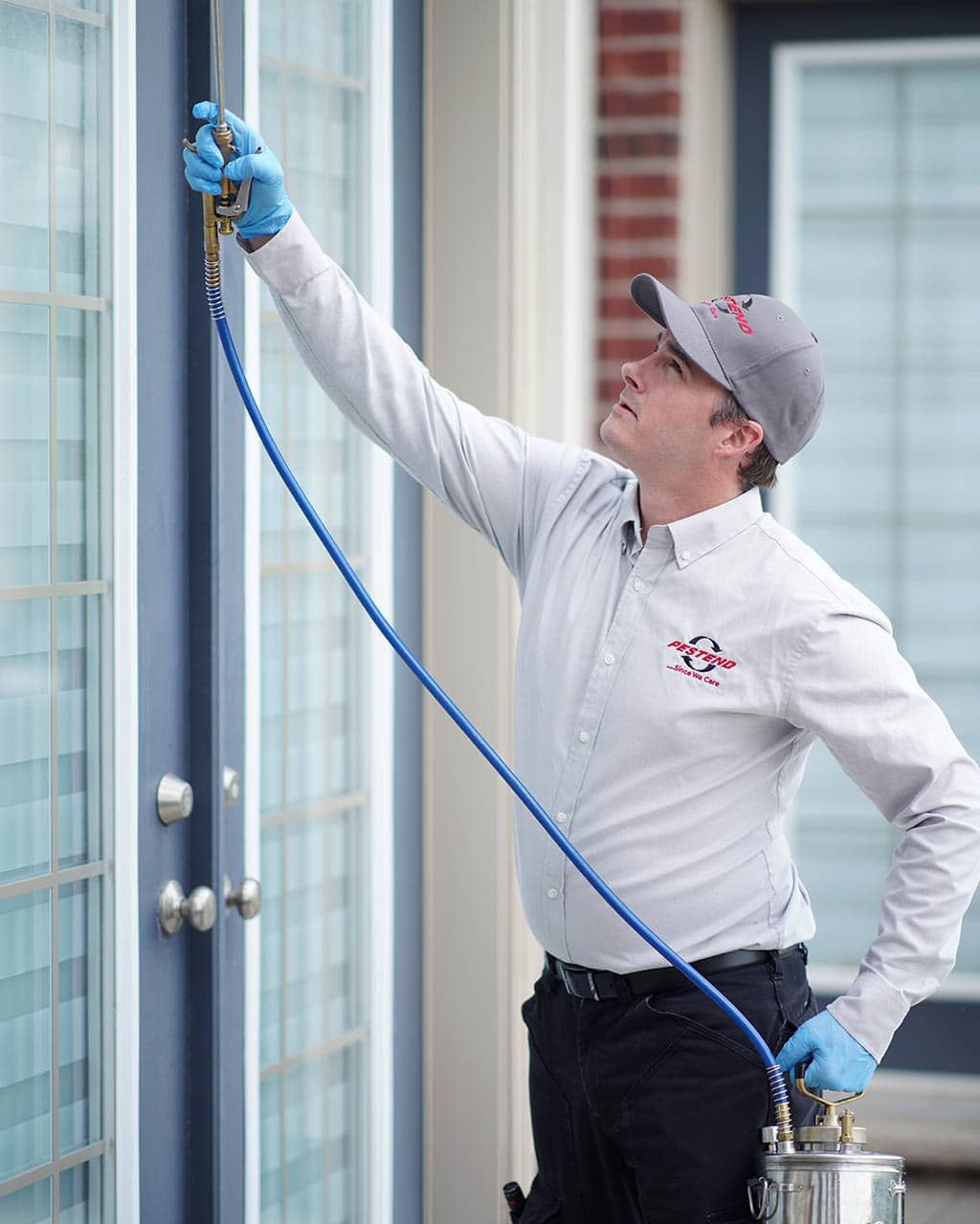 Bed Bug Exterminator Barrie Ontario Bed Bug Exterminator Pro