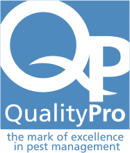 Bed Bug Exterminator Pro QualityPro Accredited