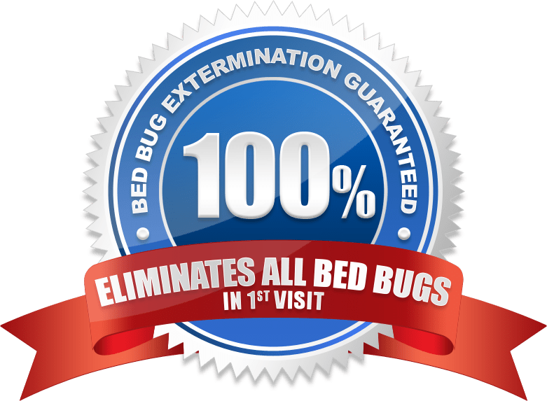 100% Bed Bug Extermination Guaranteed Toronto