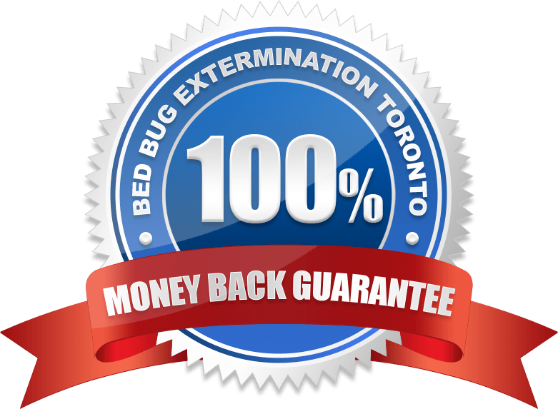 100% Guaranteed bed bug Extermination in Toronto