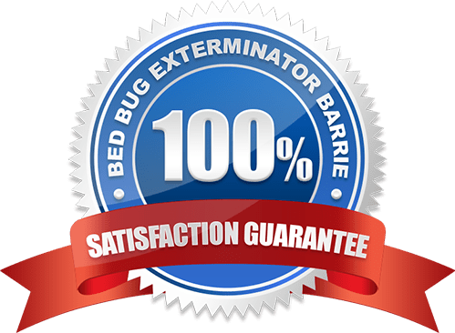 100% Satisfaction Guarantee Bed Bug Exterminator Barrie