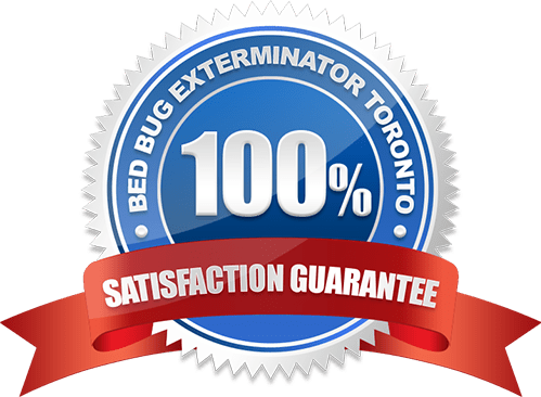 100% Satisfaction Guarantee Bed Bug Exterminator Toronto