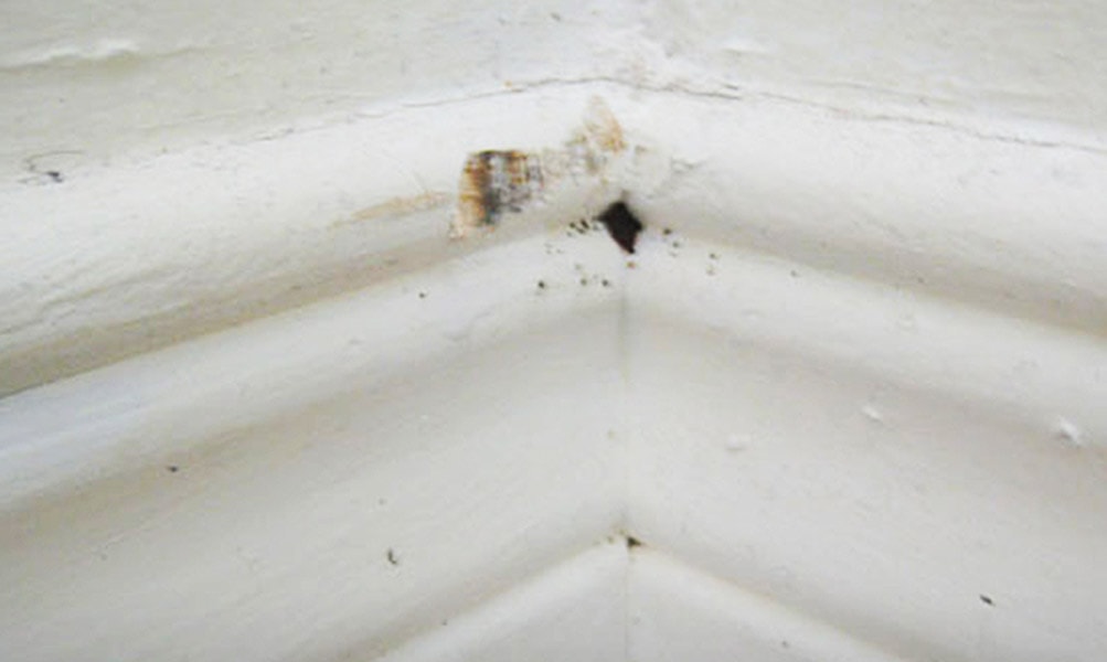 DIY Bed Bug Treatment Seal Cracks and Holes Toronto