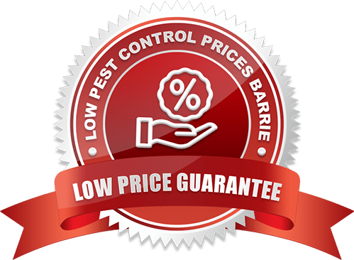 Low Price Guarantee Bed Bug Exterminator Barrie