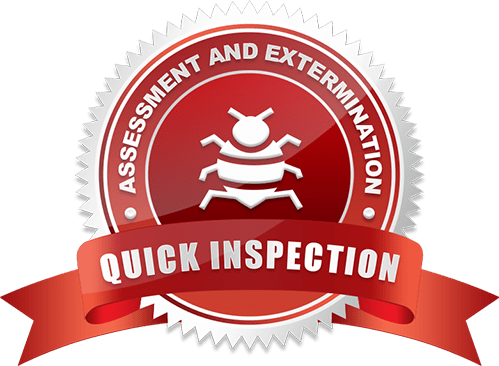 Quick inspection, assessment and extermination