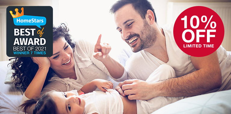 Conventional Bed Bug Treatment Toronto