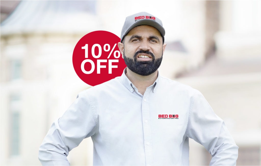 10% Off Bed Bug Extermination Sale in Toronto m