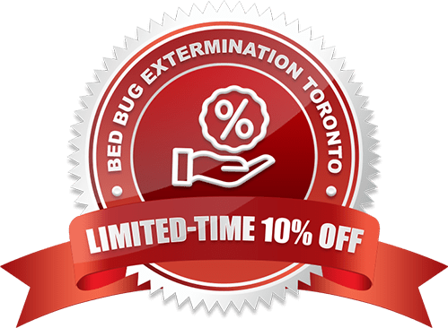10% Off For First Time Customers Bed Bug Extermination in Toronto