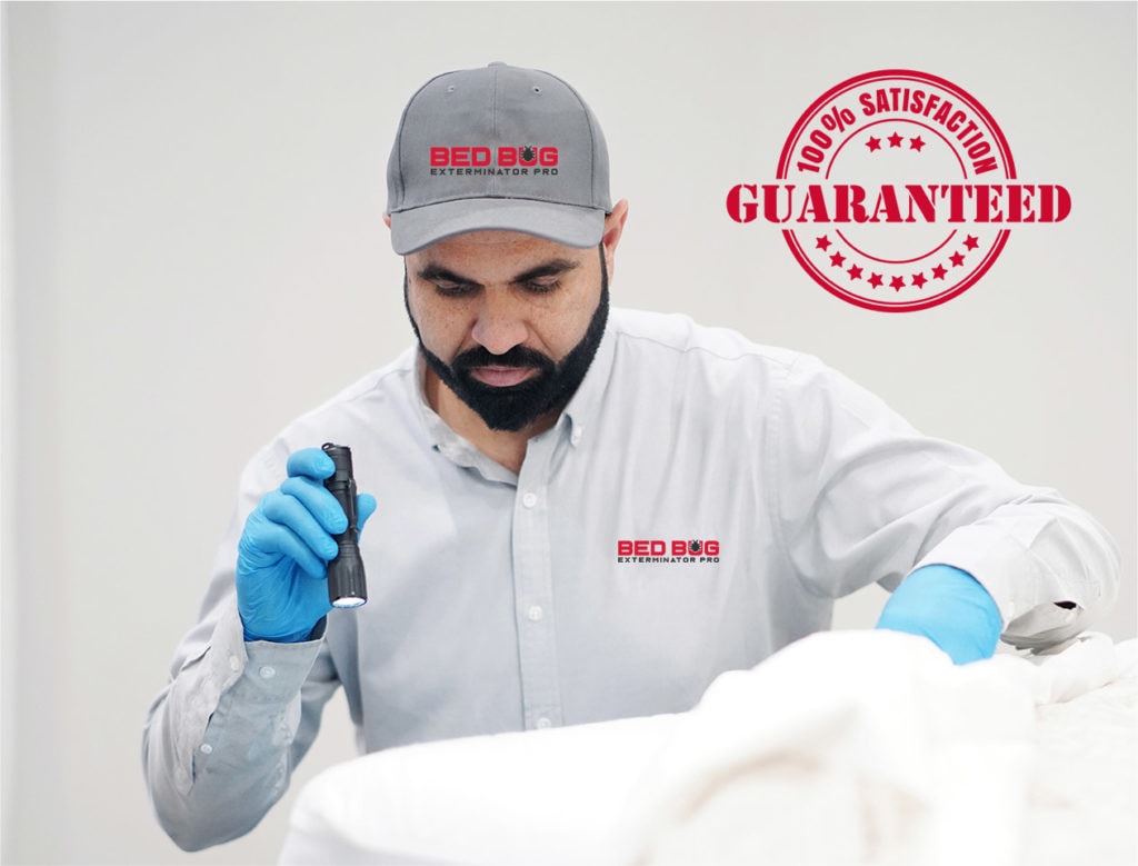 100% Guaranteed Bed Bug Extermination Services in Toronto m