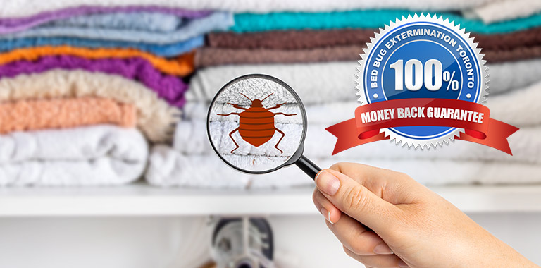 100% Money-Back Guarantee Bed Bug Extermination in Toronto