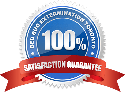 100% Satisfaction Guarantee Bed Bug Extermination in Toronto