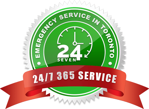 24/7 Emergency Service in Bed Bug Extermination in Toronto