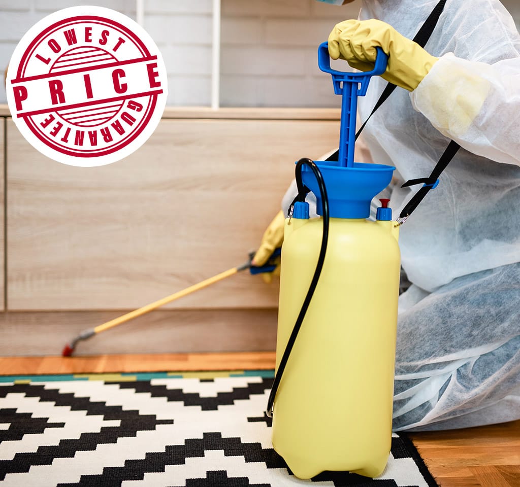 Low Price Bed Bug Extermination Guarantee in Toronto
