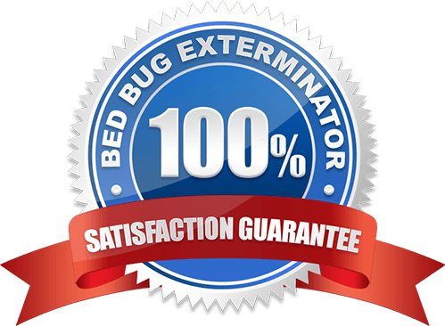 100% Satisfaction Guarantee Bed Bug Exterminator Scarborough