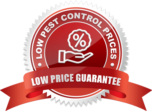 Low Price Guarantee Bed Bug Exterminator Scarborough