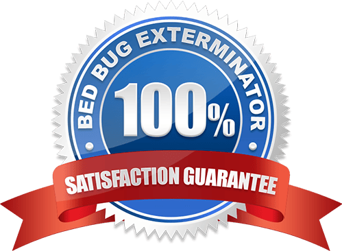 100% Satisfaction Guarantee Bed Bug Removal in Markham