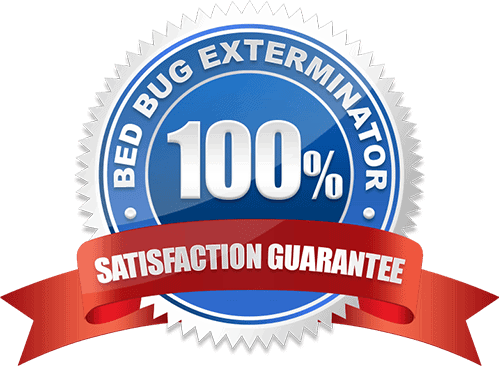 100 Satisfaction Guarantee Bed Bug Exterminator Oshawa