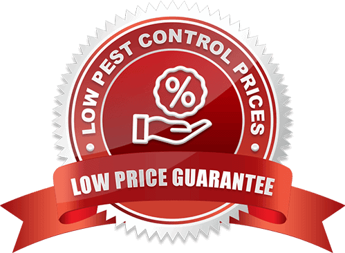 Low Price Guarantee Bed Bug Exterminator Oshawa