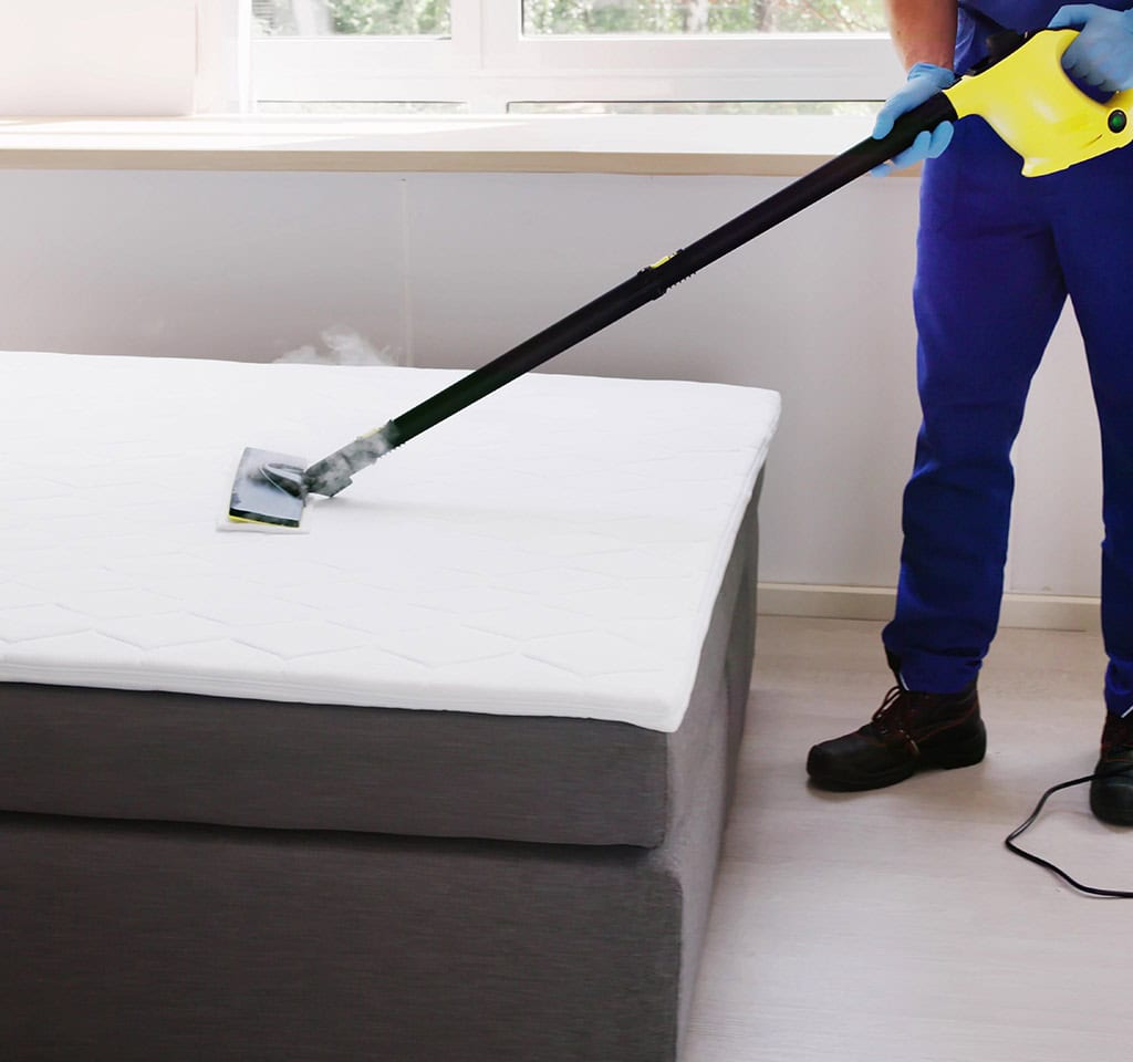 bed bug treatment cost Toronto