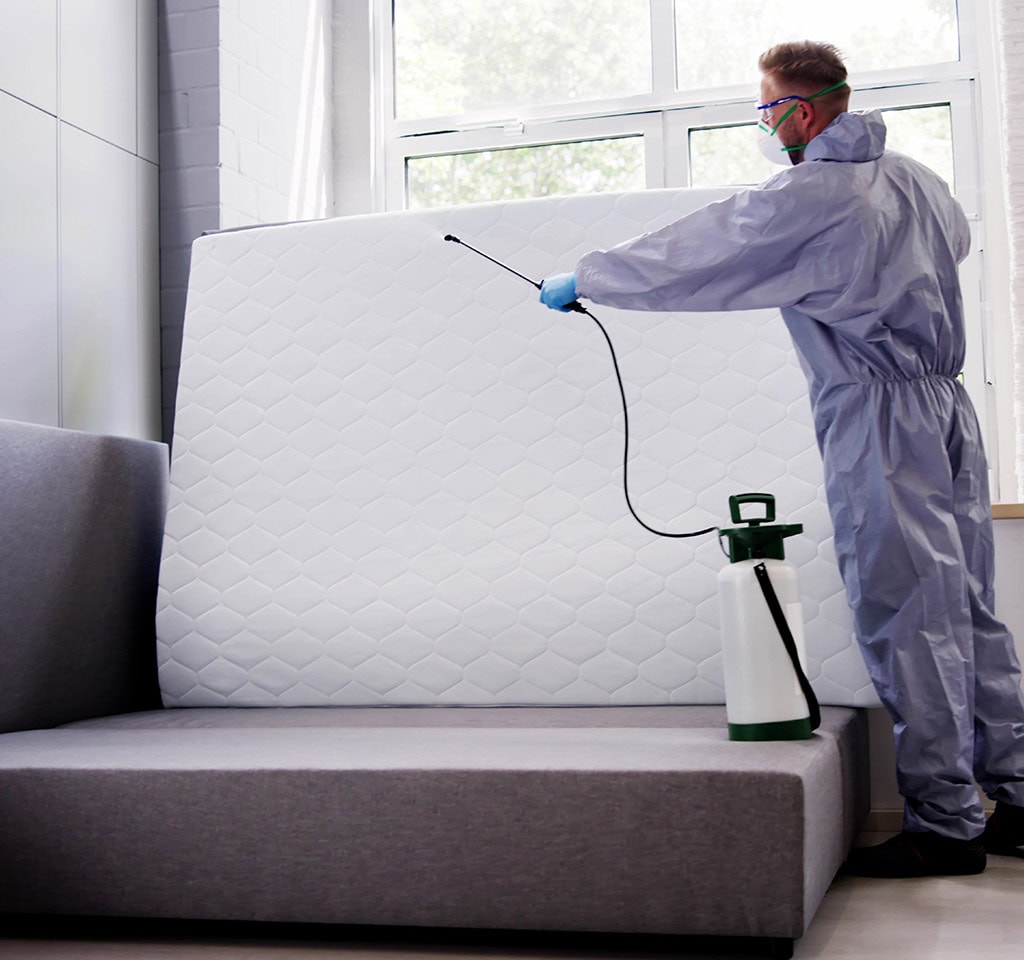 bed bug treatment price Toronto