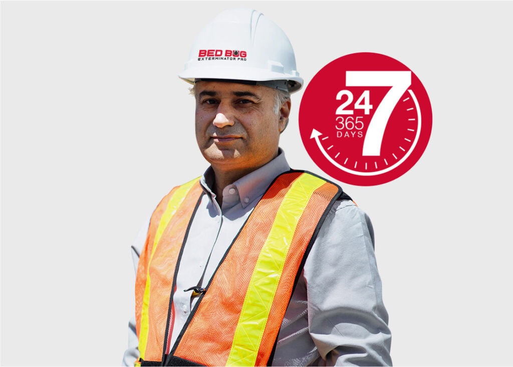 emergency bed bug treatment Toronto