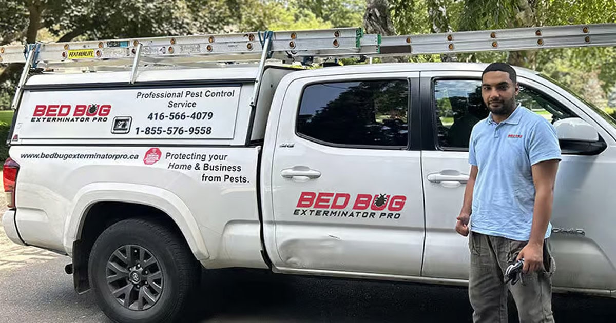Protect Your Home With Bed Bug Exterminator Pro