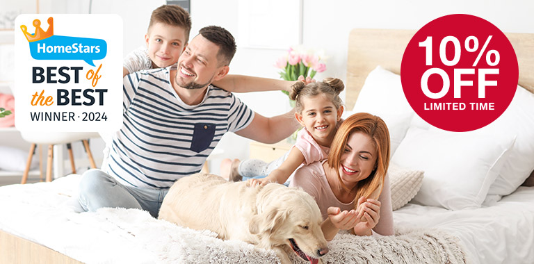 bed bug exterminator Mississauga