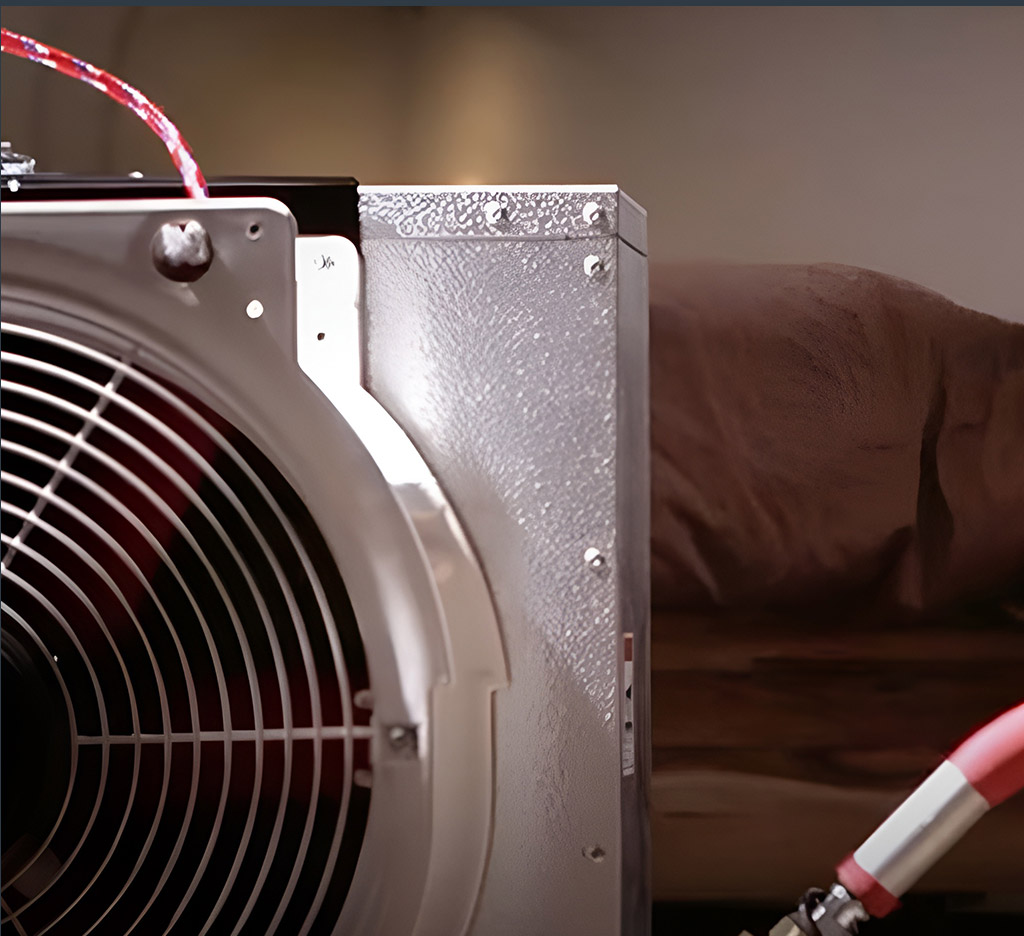 bed bug heat treatment Mississauga