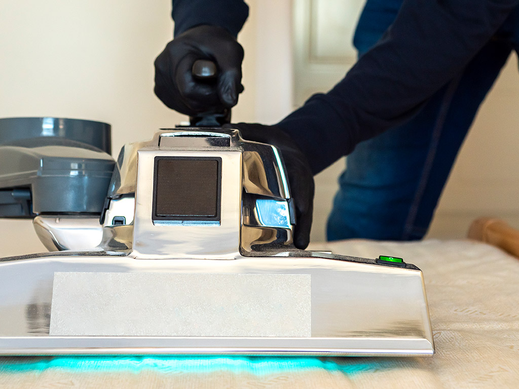 economical bed bug treatment near me