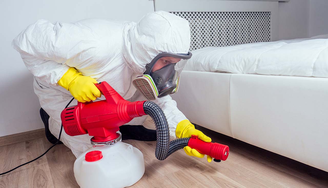 pest control worker lying on floor and spraying pesticides in bedroom